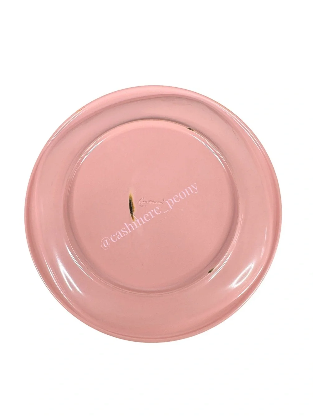 Vintage Boontonware Pink Plastic Plate 10